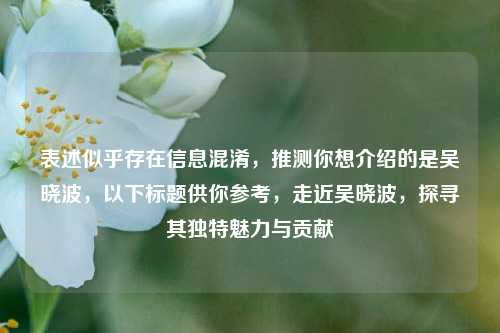 表述似乎存在信息混淆,推测你想介绍的是吴晓波,以下标题供你参考,走近吴晓波,探寻其独特魅力与贡献