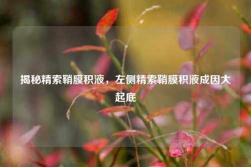揭秘精索鞘膜积液，左侧精索鞘膜积液成因大起底