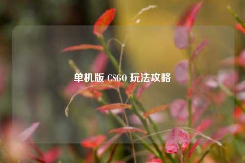 单机版 CSGO 玩法攻略