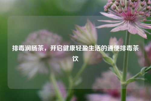 排毒润肠茶,开启健康轻盈生活的通便排毒茶饮