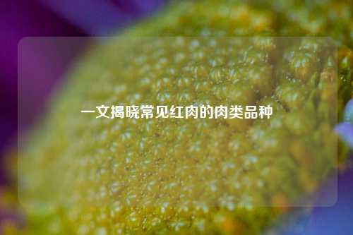 一文揭晓常见红肉的肉类品种