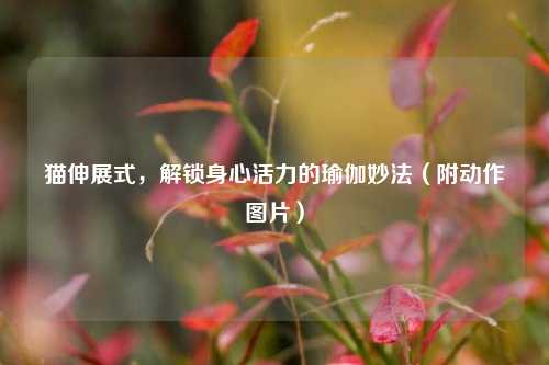 猫伸展式,解锁身心活力的瑜伽妙法(附动作图片)