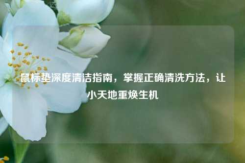 鼠标垫深度清洁指南，掌握正确清洗 *** ，让小天地重焕生机
