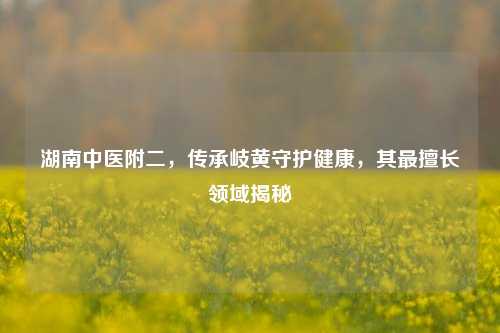 湖南中医附二，传承岐黄守护健康，其最擅长领域揭秘