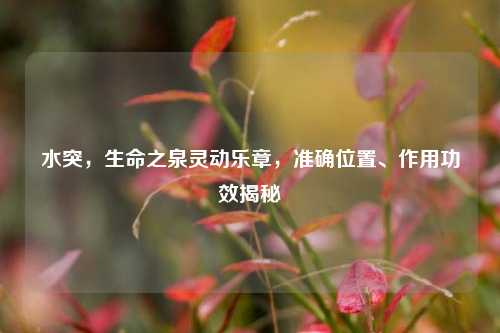 水突，生命之泉灵动乐章，准确位置、作用功效揭秘