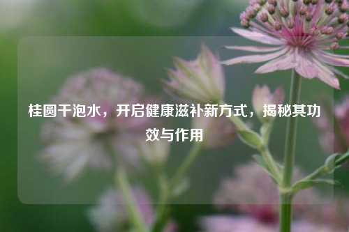 桂圆干泡水，开启健康滋补新方式，揭秘其功效与作用
