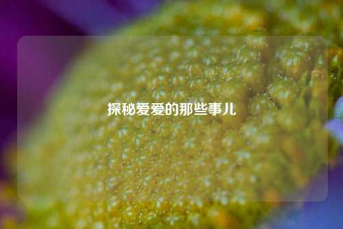 探秘爱爱的那些事儿
