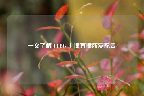 一文了解 PUBG 主播直播所需配置