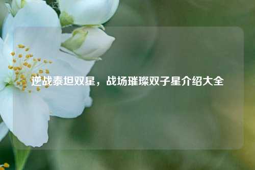 逆战泰坦双星,战场璀璨双子星介绍大全
