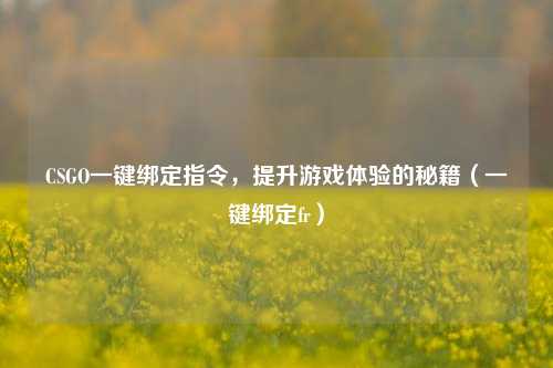 CSGO一键绑定指令,提升游戏体验的秘籍(一键绑定fr)