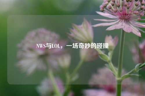NWS与LOL，一场奇妙的碰撞