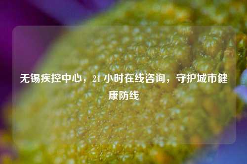 无锡疾控中心，24 小时在线咨询，守护城市健康防线