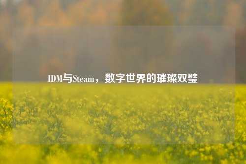 IDM与Steam，数字世界的璀璨双璧