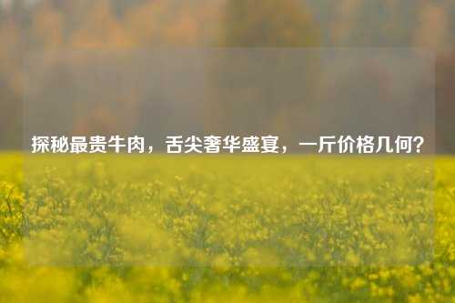 探秘最贵牛肉，舌尖奢华盛宴，一斤价格几何？