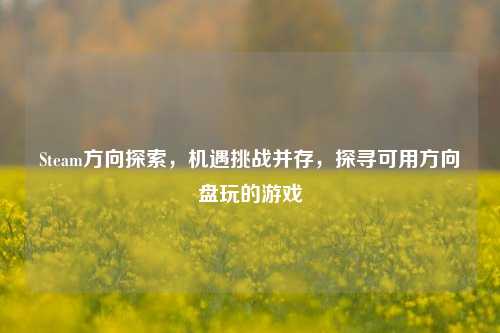 Steam方向探索，机遇挑战并存，探寻可用方向盘玩的游戏