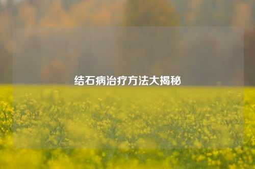 结石病治疗 *** 大揭秘