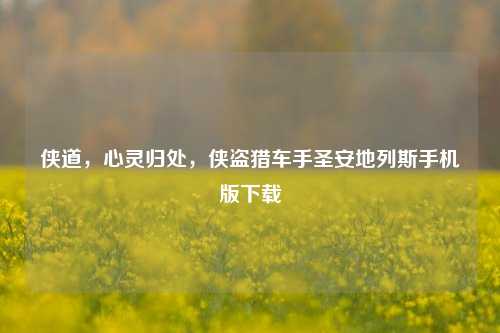 侠道，心灵归处，侠盗猎车手圣安地列斯手机版下载
