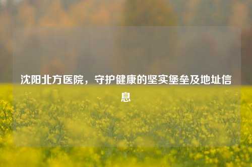 沈阳北方医院，守护健康的坚实堡垒及地址信息