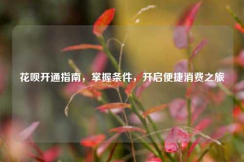 花呗开通指南,掌握条件,开启便捷消费之旅