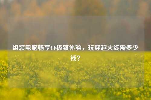 组装电脑畅享CF极致体验，玩穿越火线需多少钱？