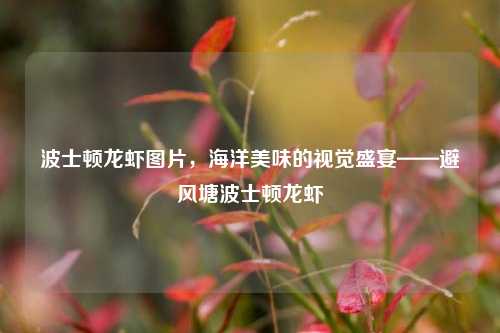波士顿龙虾图片,海洋美味的视觉盛宴——避风塘波士顿龙虾