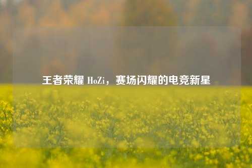 王者荣耀 HoZi,赛场闪耀的电竞新星