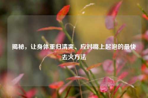 揭秘,让身体重归清爽、应对嘴上起泡的最快去火 ***