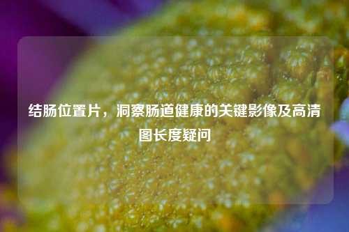 结肠位置片,洞察肠道健康的关键影像及高清图长度疑问