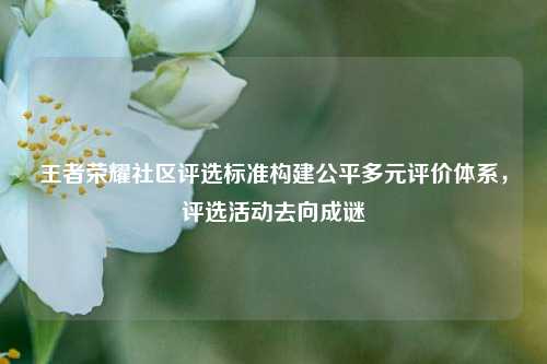 王者荣耀社区评选标准构建公平多元评价体系,评选活动去向成谜
