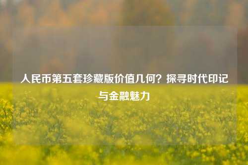 人民币第五套珍藏版价值几何？探寻时代印记与金融魅力