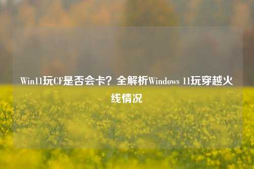 Win11玩CF是否会卡？全解析Windows 11玩穿越火线情况