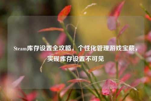 Steam库存设置全攻略,个性化管理游戏宝藏,实现库存设置不可见