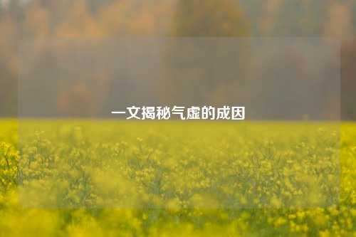 一文揭秘气虚的成因