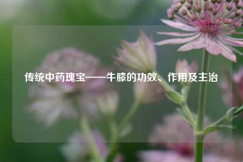 传统中药瑰宝——牛膝的功效、作用及主治