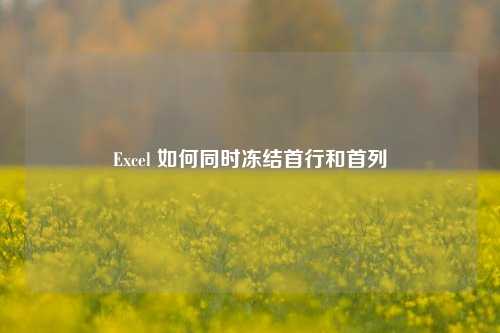 Excel 如何同时冻结首行和首列