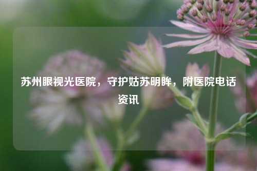 苏州眼视光医院,守护姑苏明眸,附医院 *** 资讯