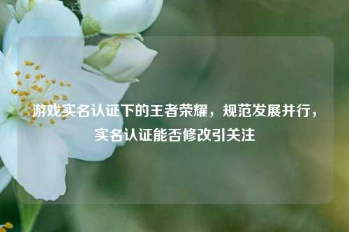 游戏实名认证下的王者荣耀，规范发展并行，实名认证能否修改引关注