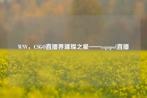 WNV,CSGO直播界璀璨之星——csgopwl直播