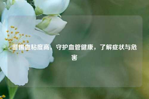 警惕血粘度高，守护血管健康，了解症状与危害