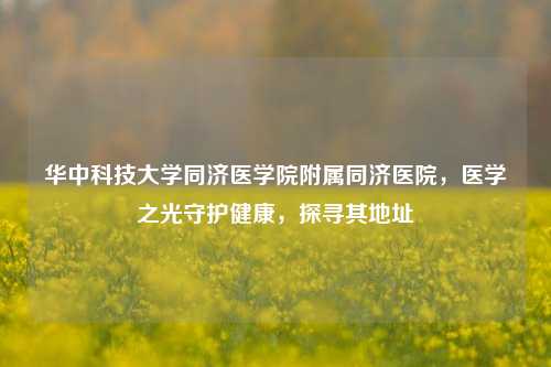 华中科技大学同济医学院附属同济医院，医学之光守护健康，探寻其地址