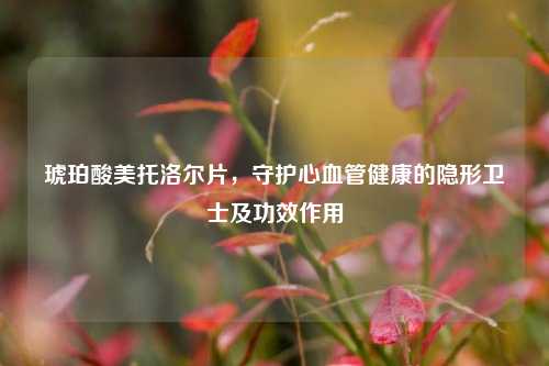 琥珀酸美托洛尔片,守护心血管健康的隐形卫士及功效作用