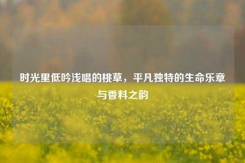 时光里低吟浅唱的桃草，平凡独特的生命乐章与香料之韵