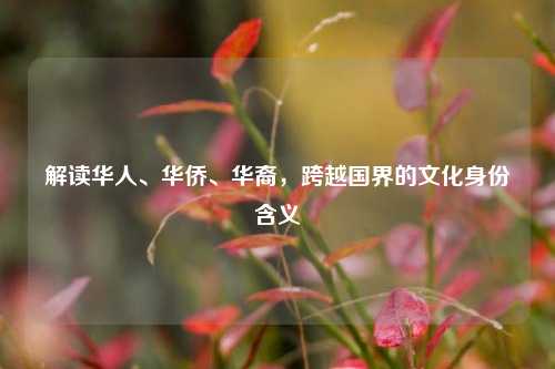 解读华人、华侨、华裔,跨越国界的文化身份含义
