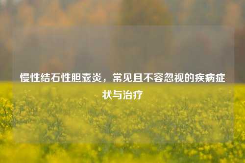 慢性结石性胆囊炎，常见且不容忽视的疾病症状与治疗
