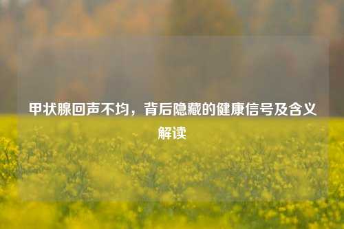 甲状腺回声不均,背后隐藏的健康信号及含义解读