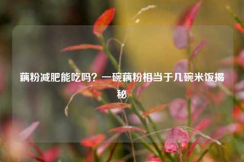 藕粉减肥能吃吗？一碗藕粉相当于几碗米饭揭秘