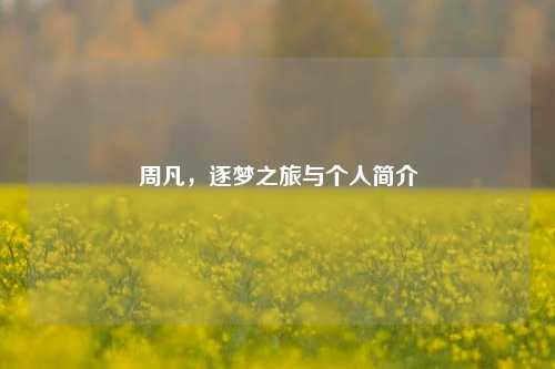 周凡，逐梦之旅与个人简介