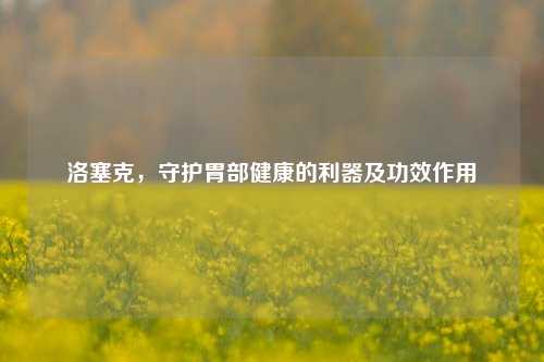 洛塞克，守护胃部健康的利器及功效作用