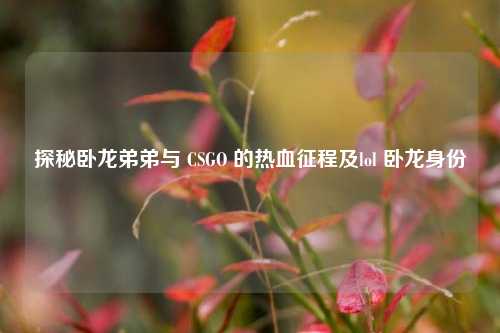 探秘卧龙弟弟与 CSGO 的热血征程及lol 卧龙身份