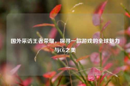 国外采访王者荣耀,探寻一款游戏的全球魅力与CG之美